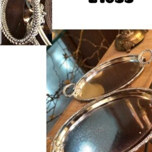 سینی پذیرایی بیضی استیل سالینو کد 210SS مجموعه 2 عددی